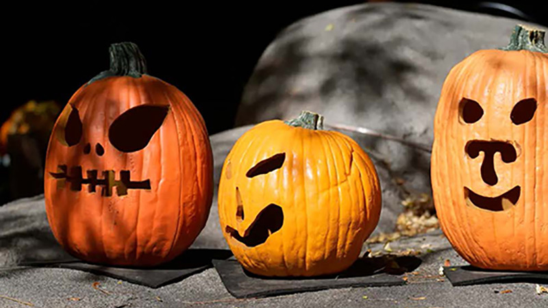 carved pumpkins