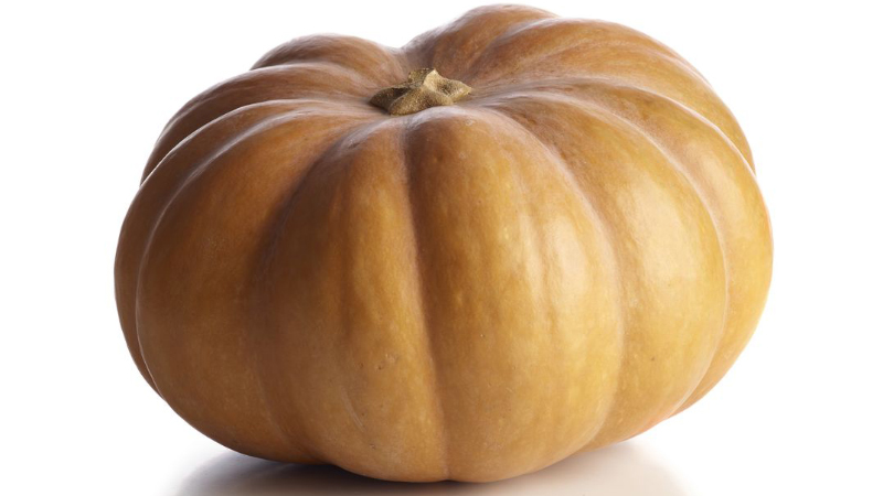 cheese pumpkin