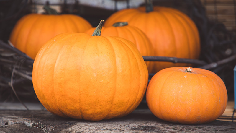 pumpkins