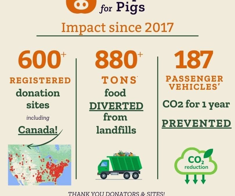 Newsletter 004 112624