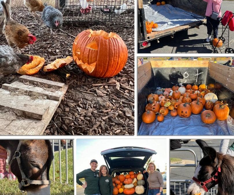 Newsletter 007 030925