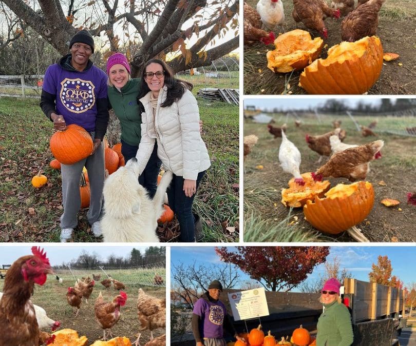 Newsletter 003 100924