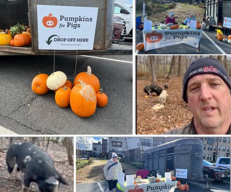 Newsletter 006 120124